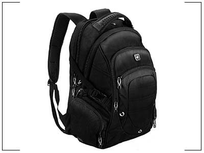 Suissewin big business travel backpack