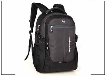 ASPENSPORT Laptop Backpack