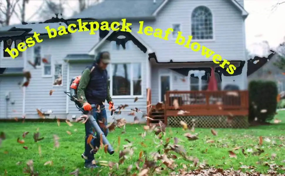 best backpack leaf blowers