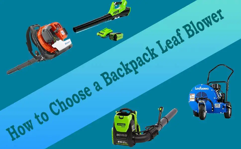 how to choose a backpack leaf blower
