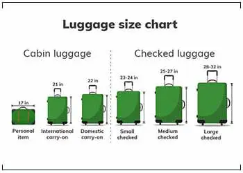 largest luggage size for check-in