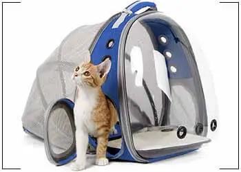 bubble backpack for cats