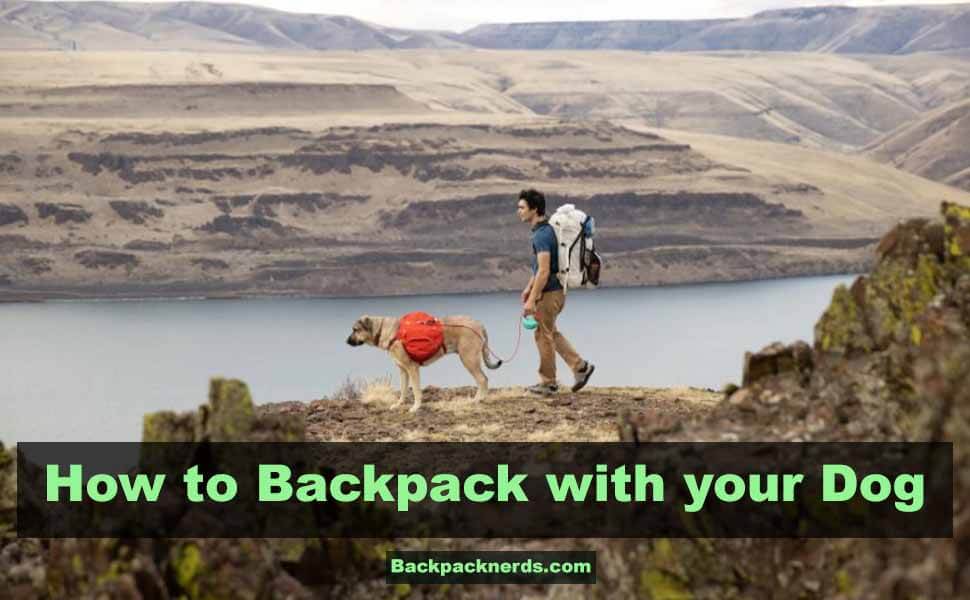 How to Backpack with a Dog