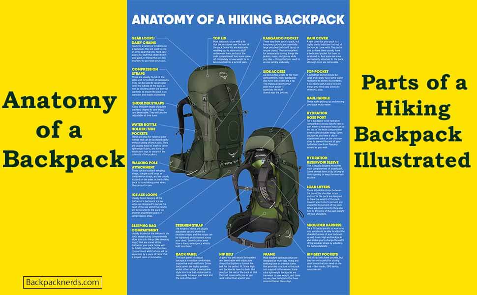 Anatomy of a Backpack [Parts of a Backpack with Images] - Backpack Nerds