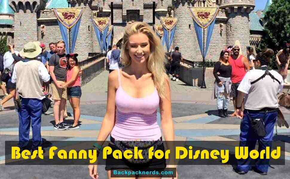 best fanny pack for disney world