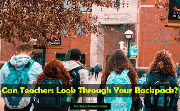 Vivid Can A Teacher Search Your Bag Landscape Art Vivid Can A Teacher Search Your Bag Landscape Art
