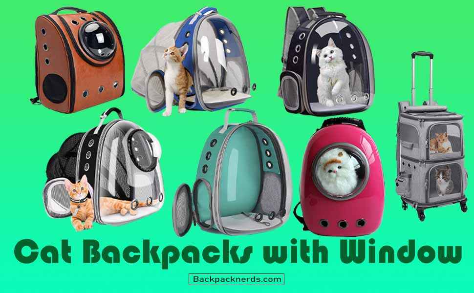 Best Cat Backpacks with Window